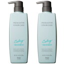 hoyu ホーユープロフェッショナル プロマスター カラーケア カーミー ヘアトリートメント 600g×2点セット