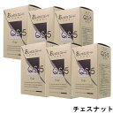 hoyu ホーユープロフェッショナル アシュレー QS-5 CQ-5 チェスナット 業務用 (1剤/50g×3、2剤/50g×3)×6点セット