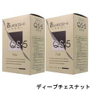 hoyu　ホーユープロフェッショナル　アシュレー QS-5　CQ-4ディープチェスナット　業務用　(1剤/50g×3、2剤/50g×3)×2点セット