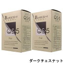 hoyu ホーユープロフェッショナル アシュレー QS-5 CQ-3ダークチェスナット 業務用 (1剤/50g×3、2剤/50g×3)×2点セット