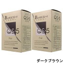 hoyu ホーユープロフェッショナル アシュレー QS-5 ダークブラウン 業務用 (1剤/50g×3、2剤/50g×3)×2点セット