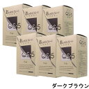 hoyu ホーユープロフェッショナル アシュレー QS-5 ダークブラウン 業務用 (1剤/50g×3、2剤/50g×3)×6点セット