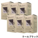 hoyu ホーユープロフェッショナル アシュレー QS-5 クールブラック 業務用 (1剤/50g×3、2剤/50g×3)×6点セット