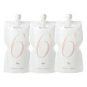 hoyu ホーユープロフェッショナル プロオキサイド 6% 1000ml×3点セット