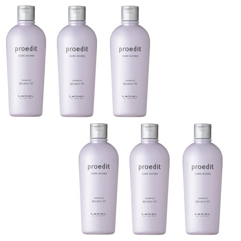 ※廃盤商品です。売り切れの際はご容赦下さい。ルベル　プロエディット ケアワークス　シャンプー　バウンスフィット　300ml ×6点セット