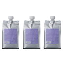 ルベル プロエディット ケアワークス トリートメント バウンスフィット +プラス 1000ml リフィル ×3点セット