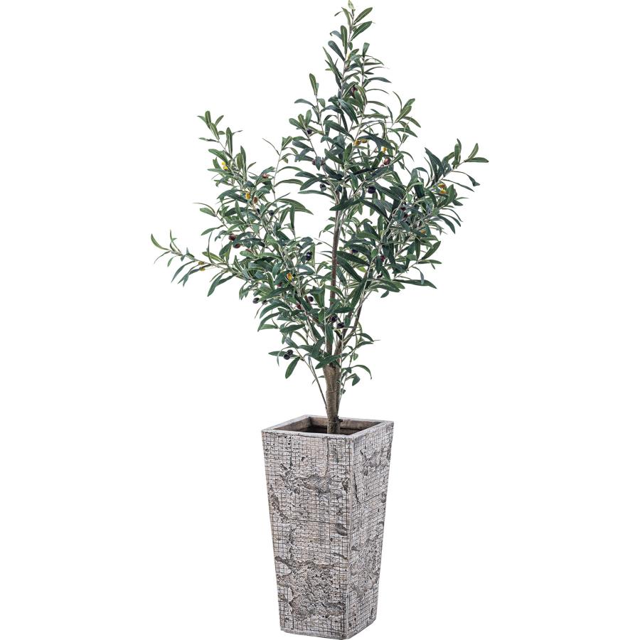 ●観葉植物をセンス良くおしゃれに飾る。 ●インテリア性にこだわったグリーンベース。 ●植物の表情や印象を手軽に変えることができます。 【ご注意】 こちらの商品は「鉢植えのみの販売ページ」です。 【商品サイズ】 約幅24×奥行24×高さ47cm ★5号用(底上げなし)のサイズです。 【材質】 酸化マグネシウム 【生産国】 中国 【組立】 組立不要●観葉植物をセンス良くおしゃれに飾る。 ●インテリア性にこだわったグリーンベース。 ●植物の表情や印象を手軽に変えることができます。 【ご注意】 こちらの商品は「鉢植えのみの販売ページ」です。 【商品サイズ】 約幅24×奥行24×高さ47cm ★5号用(底上げなし)のサイズです。 【材質】 酸化マグネシウム 【生産国】 中国 【組立】 組立不要