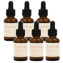 香栄化学 モデル ルプルン 30ml×6点セット