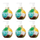 b-ex ロレッタ ウェーブジュレ 250ml ×6点セット