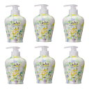 b-ex ロレッタ まいにちのすっきりシャンプー 300ml ×6点セット
