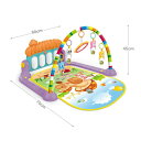 ベビージム ベビーおもちゃ 赤ちゃんおもちゃ プレイマット ベビープレイジム あんよでキック 4WAYピアノジム 室内遊具知育玩具 出産準備 フィッシャープライス音楽&ライトプレイマット 新生児 出産祝い プレゼント ギフト(3)