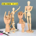 ハンド マネキン ハンドモデル デッサン 人形 木製 モデルハンド 手 模型 ポーズ 人体美術絵スケッチ男性 女性 子供