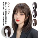 40cm50cm35cm かつら 30cm 25cm フルウィッグレディース ウィッグ 人毛100% セミショートヘア かつら ウィッグ カール 人毛 セミショ...