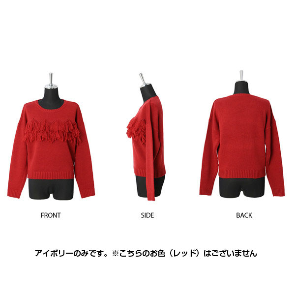 ジグザグフリンジニットプルオーバー ニット セーター【宅配便配送】【WaS】