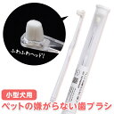 1000円ポッキリ 犬 猫 歯ブラシ 歯磨き 柔らかい 低刺激 小型犬 ソフト 密集植毛 クリア ペットの嫌がらない歯ブラシ 犬用 ペット用 猫の歯ブラシ 歯石予防 歯肉炎 老犬 パピー pecree 奥歯磨き ミニサイズ(4)