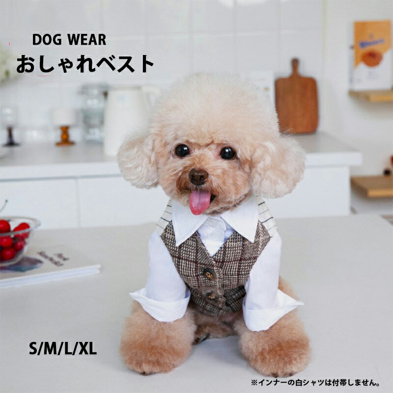 犬の服 春 秋 冬 ベスト 高級 おしゃれ 男の子 猫服 ペット服 ドッグウエア 高級 犬 服 かわいい ドッ..