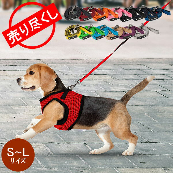 楽天PEEWEE BABY在庫限り Puppia パピア 犬用 ツートーンリード S M L サイズ トゥートーンリード 犬 ペット シンプル 紐 グッズ 丈夫 首輪 PDCF-AL30 TWO TONE LEAD