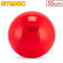 バランスボール ギムニク Gymnic 55cm Gymnic Classic 55 ギムニククラッシック 95.55 レッド 体幹 バランス トレーニング エ...