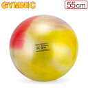 \SS期間も毎日配送/ バランスボール ギムニク Gymnic 55cm アルテ55 95.35 マルチカラー ( マーブル ) Gymnic Arte 55 ...