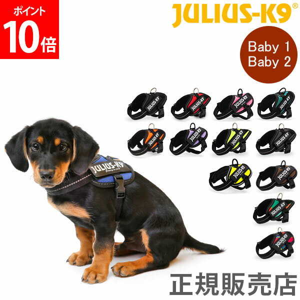 ユリウスケーナイン Julius-K9 IDC パワーハーネス 小型犬 Baby 1 / Baby 2 胸囲29〜45cm 犬用 ハーネス 犬 散歩 胴輪 ペット Powerharness