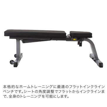 最大1000円OFFクーポン ボディソリッド Body Solid フラットインクラインベンチ GFI21 FLAT/INCLINE BENCH 2