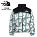 【THE NORTH FACE ザノースフェイス】 メンズ アウター ヌプシ ジャケット 2022 秋冬 アウトドア THE NORTH FACE M Printed 1996 Retro Nuptse Jacket USAモデル NF0A5IX4 送料無料