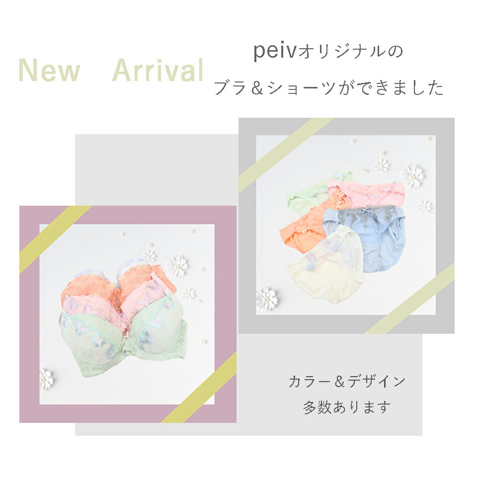 大きいサイズ ブラショーツセット ブラジャー ショーツ セット ワイヤーブラジャー レディース 下着 ブラショー 上下セット NO.F303 送料無料