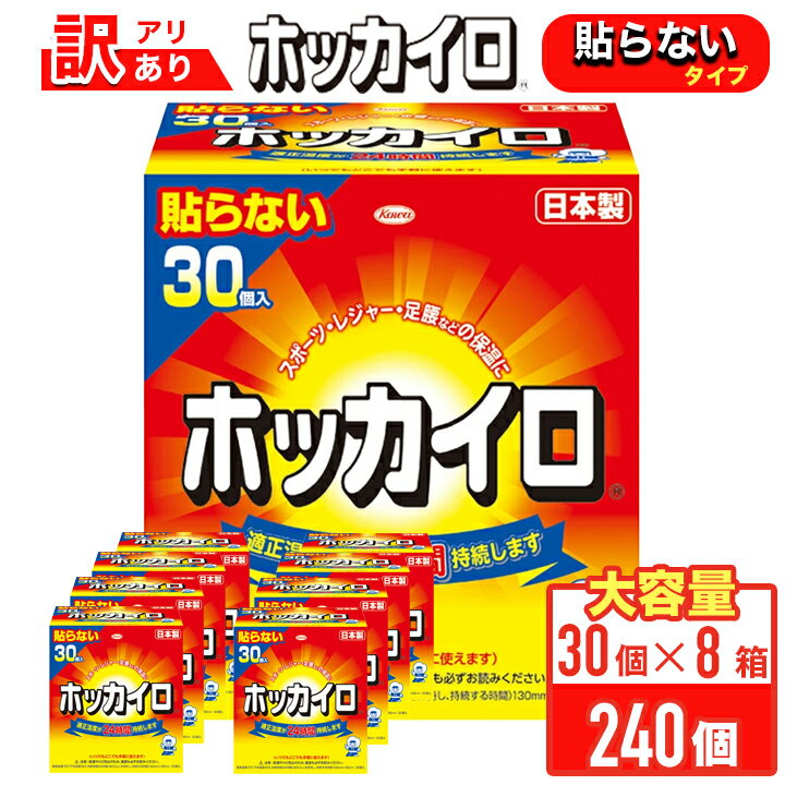 興和 ホッカイロ 貼らない レギュラー 30個×8 240P 雑貨 【送料無料】
