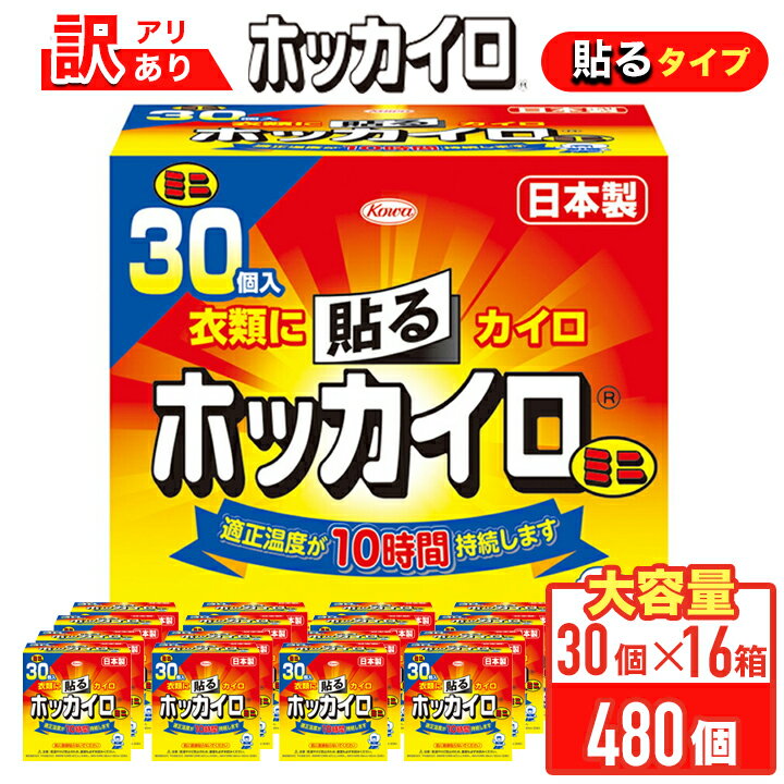 興和 ホッカイロ 貼る ミニ 30個×16 480P 雑貨 送料無料