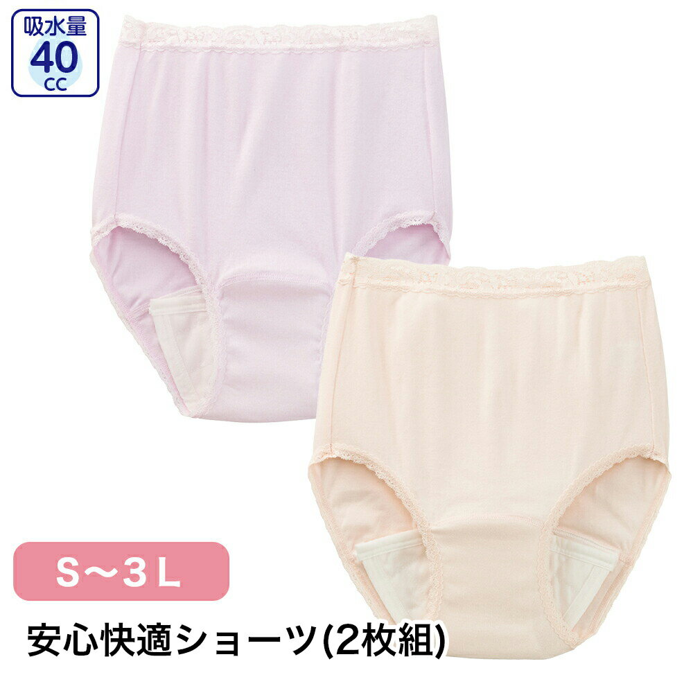 Rakuten - 安心快適ショーツ(2枚組) W0101848 S M L LL 3L レディース パンツ 下着 漏れても安心 吸水 ショーツ 薄型吸水帯付き 吸水量40cc 洗濯機OK にじみ出し防止 抗菌防臭 消臭加工入院 介護 施設 年配 シニア 杉山ケアファッション