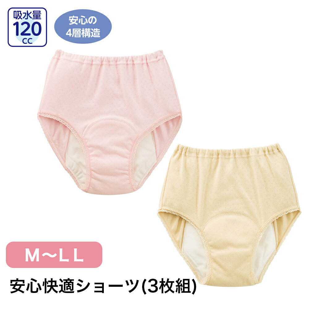 安心快適ショーツ(3枚組) W01800308 M L LL レディース パンツ 下着 漏れても安心 吸水 ショーツ 4層構造 吸水帯付き 吸水量120cc 洗濯機OK 抗菌防臭 入院 介護 施設 年配 シニア 杉山ケアファッション