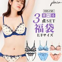 【15%OFFクーポン！3000円以上】福袋 2024 E65～F95 大きいサイズ福袋 選べる3タイプ おまかせ ブラジャー＆ショーツ3組入セット 福袋 下着 レディース セット ブラジャー ショーツ セットブラ＆ショーツ ブラ福袋 おまかせ3組セット