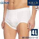 【15%OFFクーポン!3000円以上】グンゼ 快適工房 紳士 スパンブリーフ(前あき) 綿100% ブリーフ パンツ メンズ 下着 肌着 インナー GUNZE...