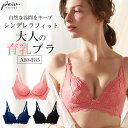 【10%OFFクーポン！3500円以上】【80・85アンダー専用 A80-F85】シンデレラフィット 育乳ブラ 単品 ブラジャー 補正下着 育乳 バストアップ 脇高 脇肉 スッキリ 痛くない 脇肉 ブラ 大きいサイズ 補整 レディース 補正ブラ 昼用 ブラ 谷間 自胸 バスト【初回返品交換0円】