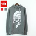 ノースフェイス メンズ パーカー 裏起毛 THE NORTH FACE TRIVERT PULLOVER HOODIE NF0A3MB6