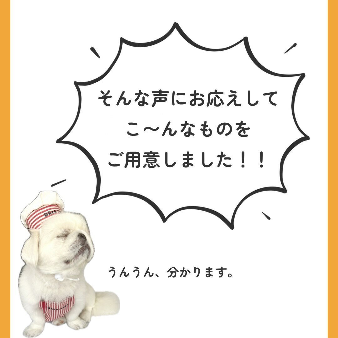 ����å� ��� �� ������������ ��� ������ �����Υ����� �������å��� ������ ���ѥ����� ������ ��ǰ�� �������� ���Τ���� ���å� ̵ź�� �� ���Υ����� �ڥåȥ����� ���� �� �Ի��� ̵ź�äθ��Τ���� ������󥱡��� ����ƥ�ե꡼������ �������� ����