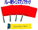 ●バレー用ラインズマンフラッグ●シャフト長さ57cm、フラッグサイズ40×40cm●重量約680g/4本1組（ケース込み）●材質：フラッグ/ナイロン、シャフト/アルミ、グリップ部分/ゴム、台湾製