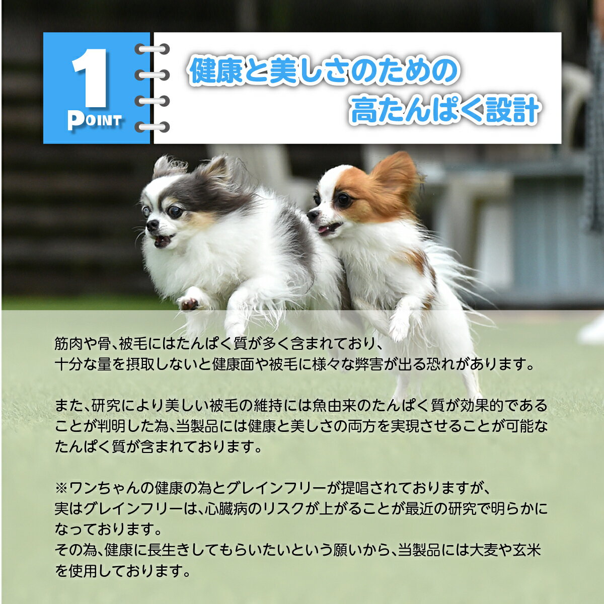 ぺろまんま ドッグフード 全犬種 オールステー...の紹介画像3