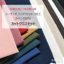 はぎれセット シーチング ハンドワッシャー加工 6枚セット(ハギレ 生地 布 福袋 コットン 綿100% カットクロス ハンドメイド)【送料無料】