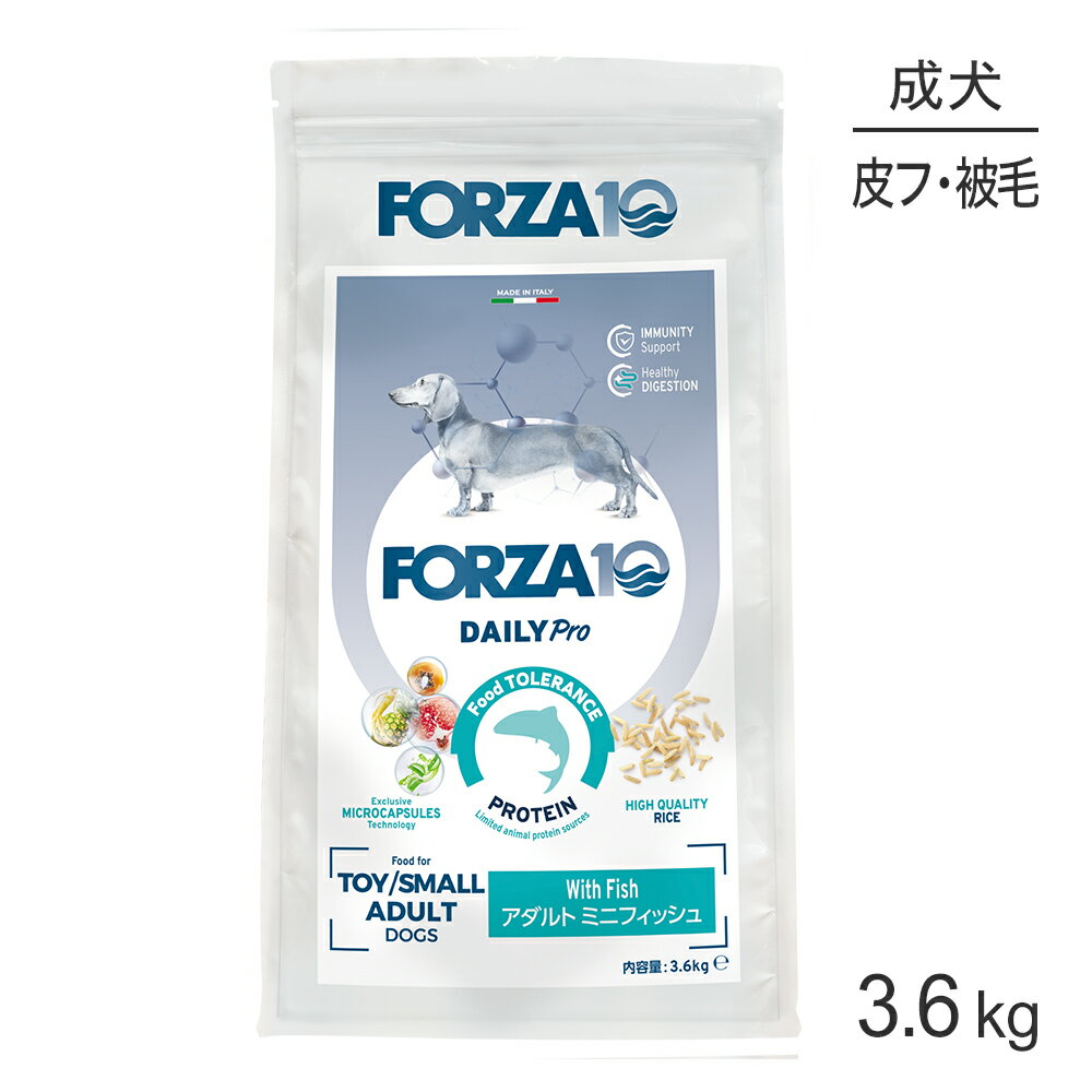 ������ݥ����10�ܡ��ץ���ȥ꡼�ۥե���ĥ�10 Forza10 Daily Pro ������ȥߥ� �ե��å��� �ȱ֤η򹯰ݻ���������&�����ȥ��� ������ ��...