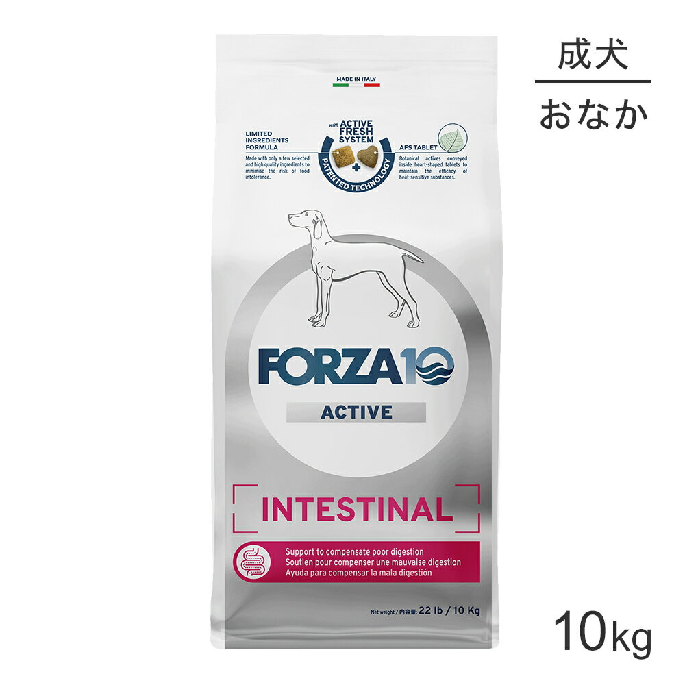 【最大400円オフクーポン■要事前取得】フォルツァ10 Forza10 ACTIVE インテスティナルアクティブ ミデ..