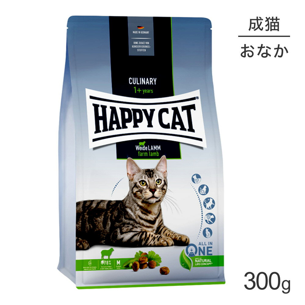 yő350~ItN[|vO擾zHAPPY CAT Ji[ t@[ PA Lp 300g (LELbg) [Ki]