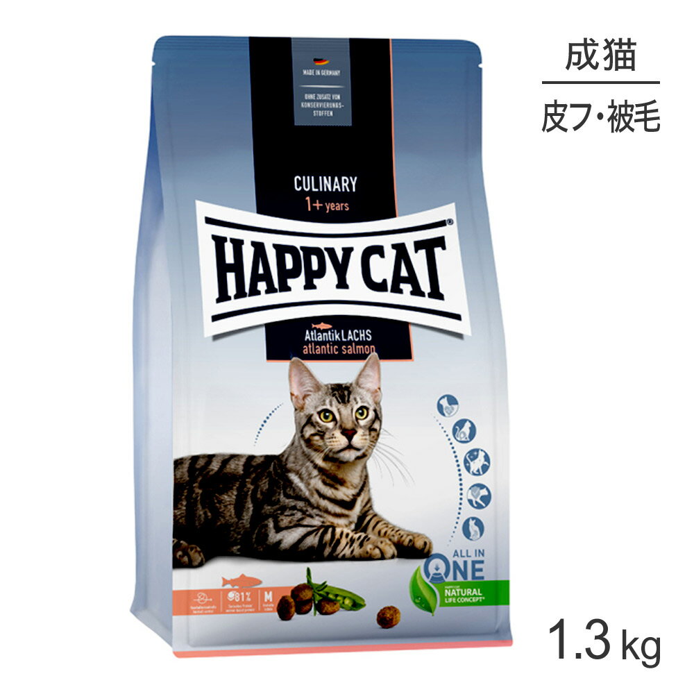 yő350~ItN[|vO擾zHAPPY CAT Ji[ AgeBbNT[ XLPA Lp 1.3kg (LELbg) [Ki]