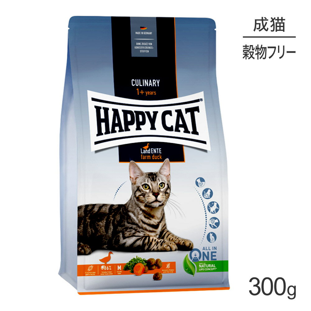 yő350~ItN[|vO擾zHAPPY CAT Ji[ t@[_bN AM[PA Lp 300g (LELbg) [Ki]