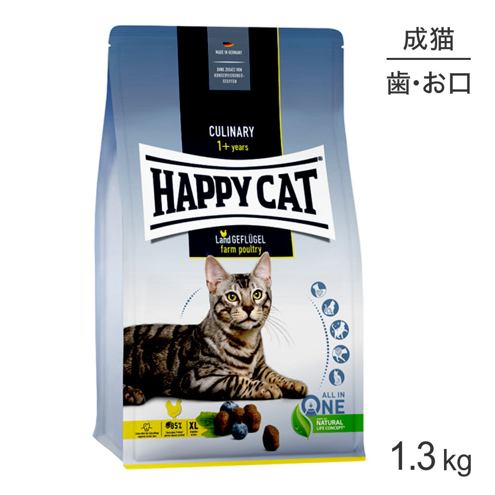 yő350~ItN[|vO擾zHAPPY CAT Ji[ t@[|g[ f^PA 嗱 Lp 1.3kg (LELbg) [Ki]