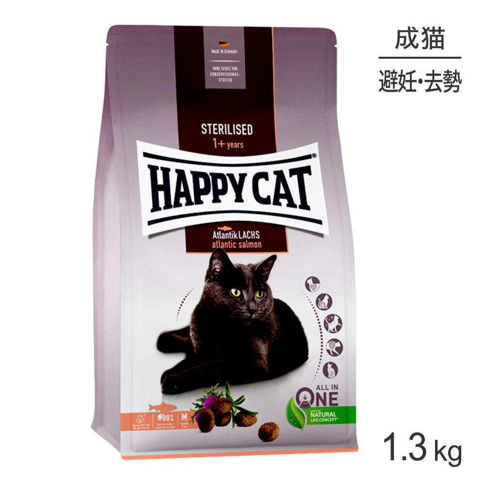 yő350~ItN[|vO擾zHAPPY CAT XeACYh D̐Lp 1.3kg (LELbg) [Ki]