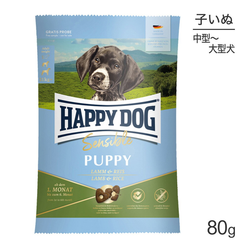 ■最大ポイント10倍【5/9〜要エントリー】【メール便】HAPPY DOG ヤング パピー 中・大型犬 6ヶ月までの子犬用 ラム&ライス 80g (犬・ドッグ)[正規品][M便 1/5]