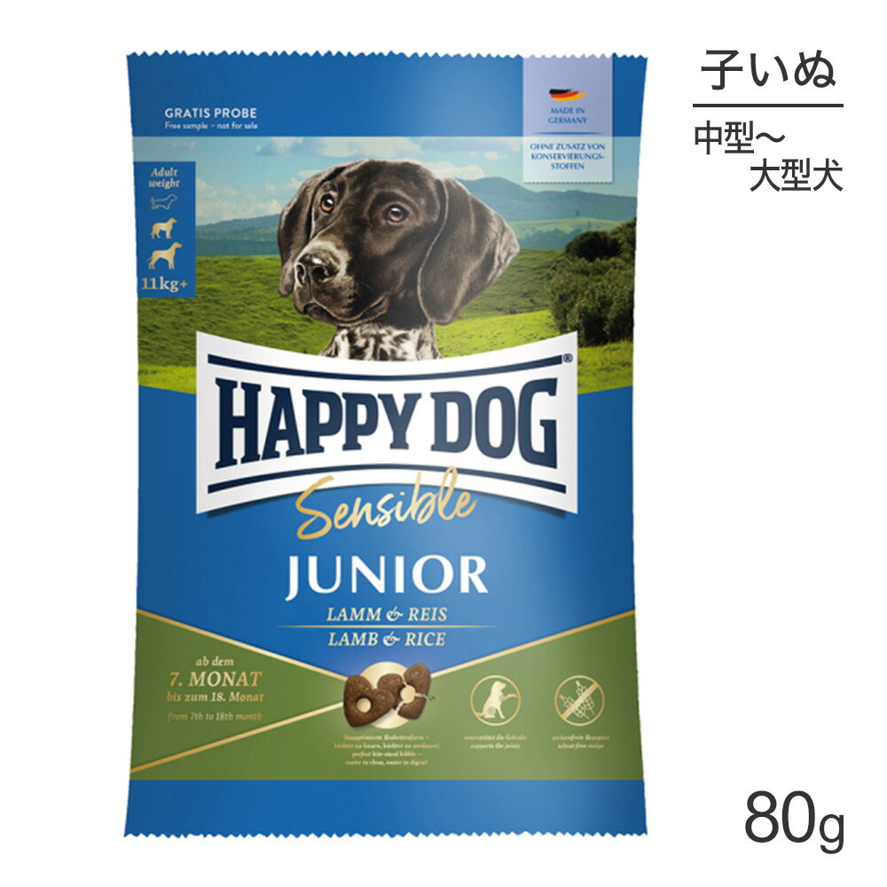 Domestic - 【メール便】HAPPY DOG ヤング ジュニア 中・大型犬 7ヶ月以降の子犬用 ラム&ライス 80g (犬・ドッグ)[正規品][M便 1/5]
