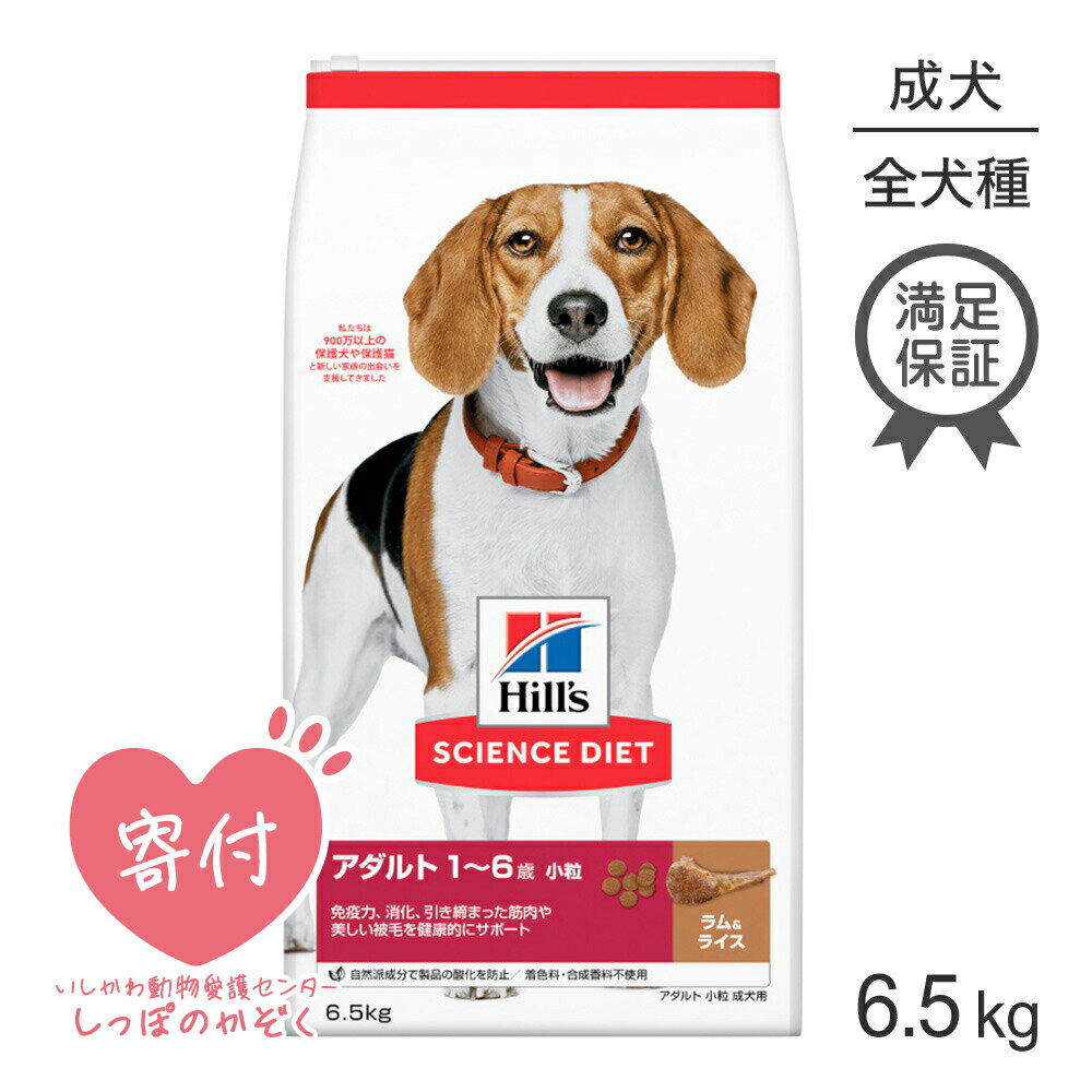 ■最大ポイント20倍【6/1要エントリー】ヒルズ サイエンス・ダイエット アダルト 小粒 1~6歳 成犬用 ラム＆ライス 6.5kg (犬・ドッグ)