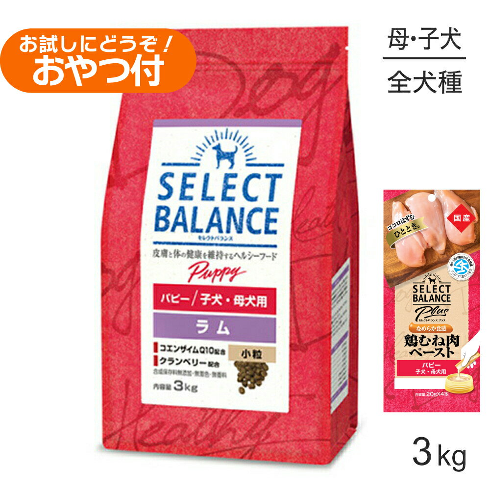 Domestic - ■最大ポイント10倍【5/23〜要エントリー】セレクトバランス パピー ラム 小粒 子犬・母犬用 3kg+子犬・母犬用 鶏むね肉ペースト 20g×4本(犬・ドッグ)